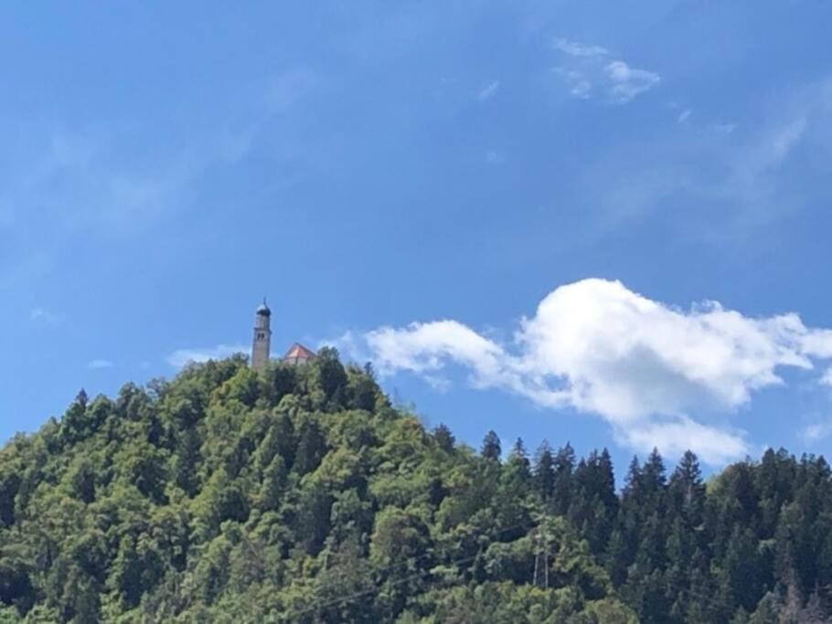 Holiday Guesthouse La Casina Di Butzi Pet Friendly - Terme Di Arta - Zoncolan Arta Terme Extérieur photo