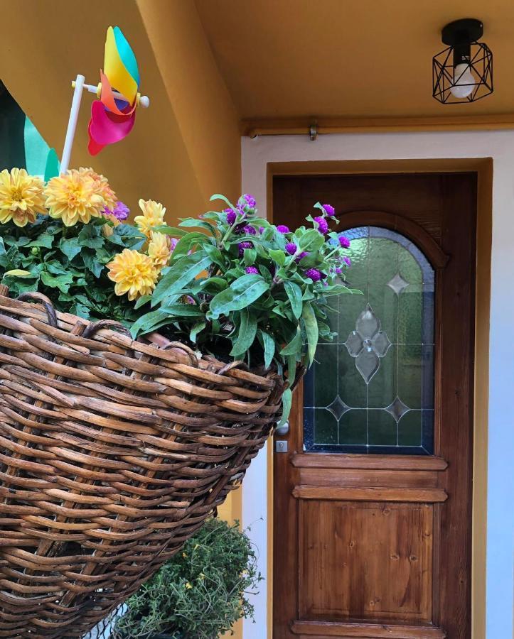 Holiday Guesthouse La Casina Di Butzi Pet Friendly - Terme Di Arta - Zoncolan Arta Terme Extérieur photo