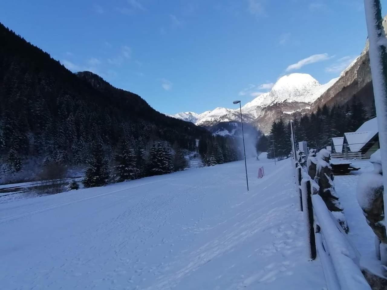 Holiday Guesthouse La Casina Di Butzi Pet Friendly - Terme Di Arta - Zoncolan Arta Terme Extérieur photo