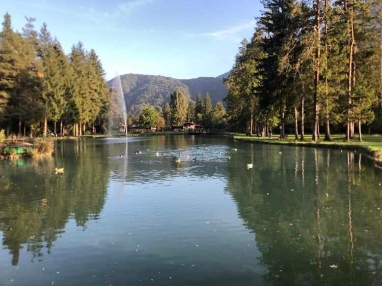 Holiday Guesthouse La Casina Di Butzi Pet Friendly - Terme Di Arta - Zoncolan Arta Terme Extérieur photo